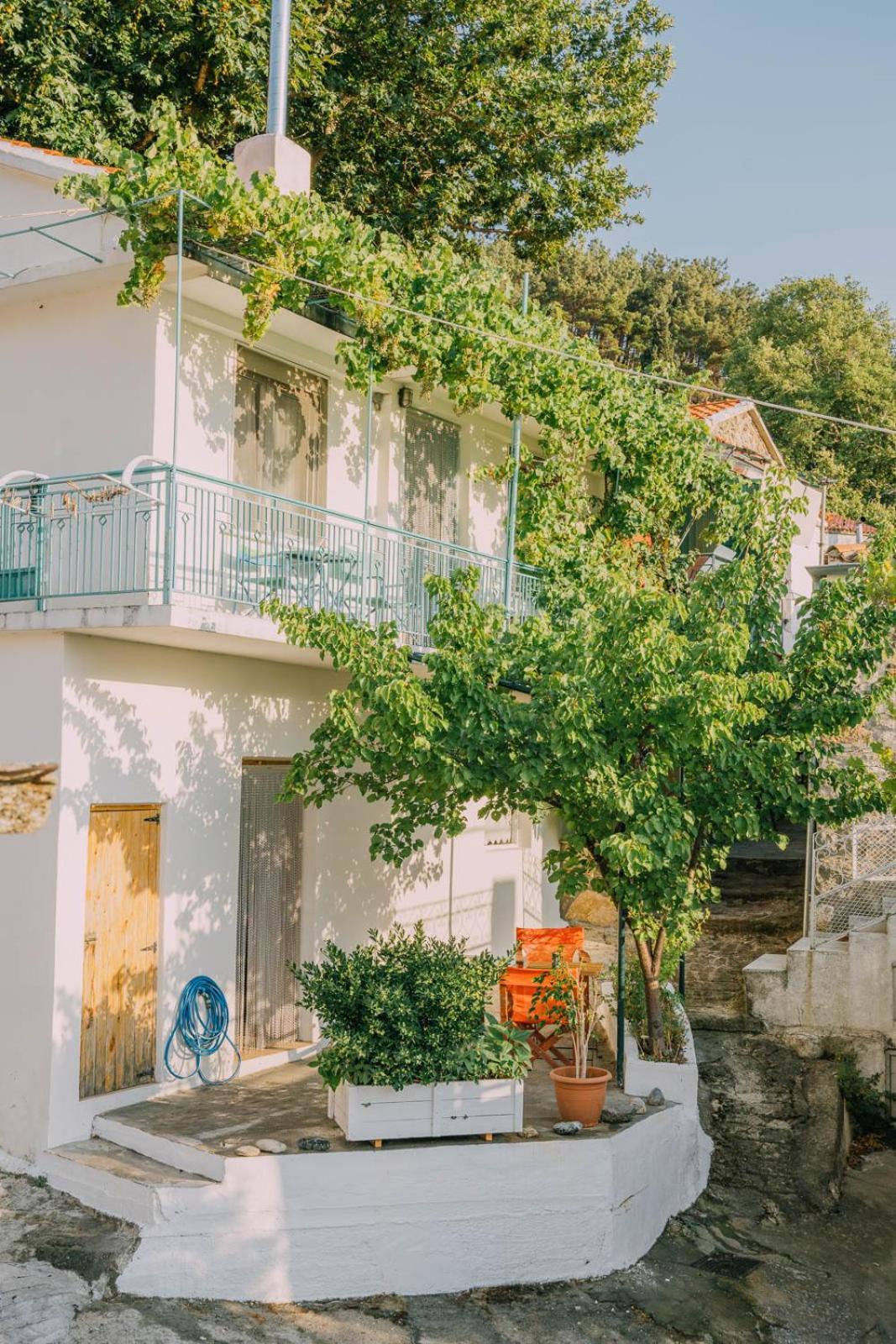 The Apricot Tree Studio Σαμοθράκη Εξωτερικό φωτογραφία